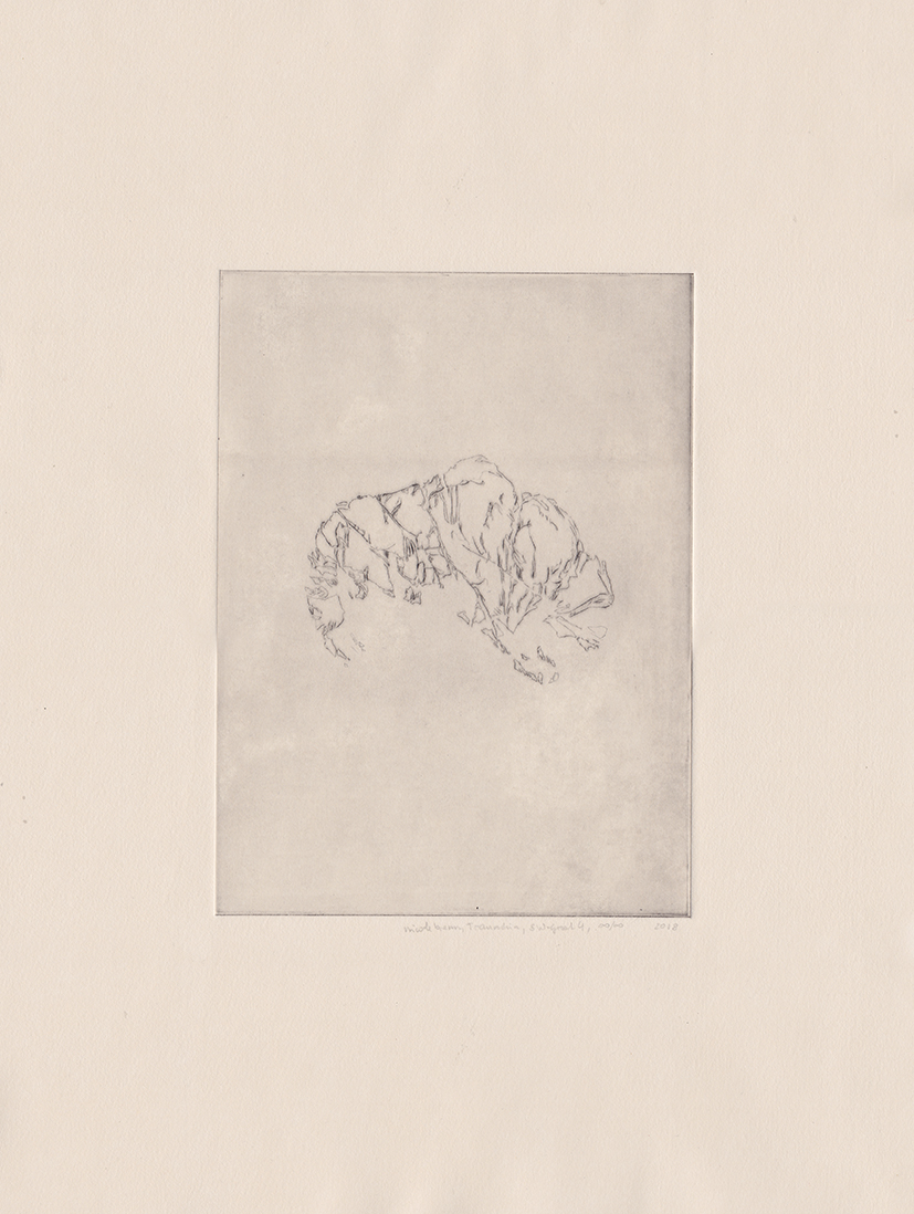 Traunstein, SW-Grat 4, B&O